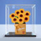 Boîte de présentation en acrylique pour Lego 40524 40460 Roses Tournesol Boîte de présentation transparente anti-poussière Compatible avec Lego 40524 40460 Kit de construction (modèle non inclus)