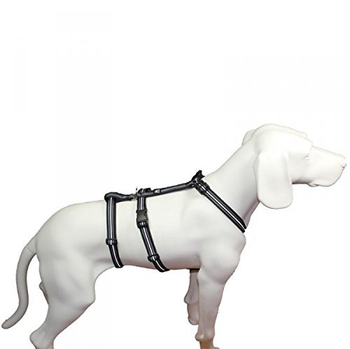 Hoffmann No Exit ausbruchsicheres Hundegeschirr für Angsthund, Sicherheitsgeschirr für Pflegehunde, Panikgeschirr, Reflexband schwarz, Bauchumfang 50-65 cm, 20 mm Bandbreite