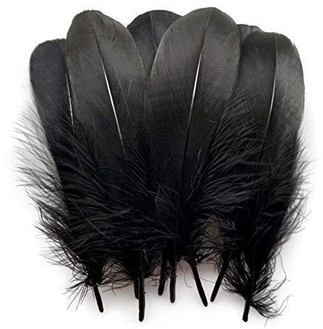Suneast 100 Stücke Federn Dekoration Natürliche Gänsefedern Weiche Crafts Feather Indianer Federn für Traumfänger Basteln, Kostüme Hüte Schmuck Deko, DIY Ohrring - Schwarz, 15-20cm