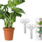 Pflanzenstütze Monstera | Gold Kletterpflanzen Clips | Pflanzenclips Für Kletternde Zimmerpflanzen Pflanzenstütze Monstera Blatt Pflanzenwachstumszubehör Für Einen Pflanzenliebhaber (Schwarz*2)