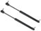 SQIFBA Vérin À Gaz 1 Paire 310mm 200N 8mm pour Camping-Car Remorque Tente Boîte À Outils Bus Fenêtre Lit Voiture Ressort À Gaz Support Vérins À Gaz Barre Arbre Vérins À Gaz Coffre Hayon