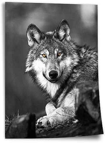 Printistico Poster Wolf mit orangen Augen, Schwarz Weiß, black and white, Fotografie, Kunstdruck ohne Rahmen, Wandbild - A4, A3, A2, A1, A0, XXL - Wohnzimmer, Schlafzimmer, Küche, Deko