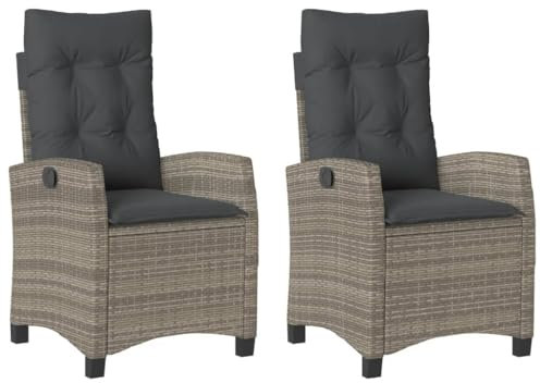 vidaXL Gartensessel mit Kissen 2 STK., Gartenstuhl mit Verstellbarer Rückenlehne, Liegestuhl mit Stahlrahmen, Sessel Stuhl Relaxsessel, Grau Poly Rattan