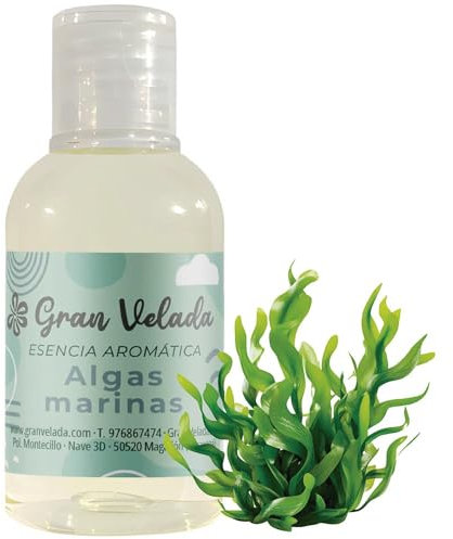 Esencia Aromática Algas Marinas 1 Litro | Aroma Fresco y Cítrico para Cosméticos Profesionales. Ideal para Cremas, Aceites de Masaje y Jabones.