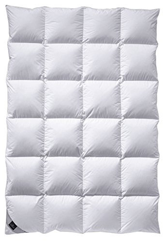 Billerbeck Daunendecke 308 Ambiente Kassette II - Neue Weißgansdaue, 100% Daune (200 x 200 cm)