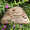 PTATT Personalisierte Katzen-Gedenksteine, lasergraviert, 3D-Grabstein, Grabstein, Katzen-Grabstein, Katzen-Grabstein, Andenken, Geschenk, Verlust von Haustier-Grabstein für Katze, 21,6 x 17,8 x 8,9