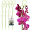 KOTARBAU® 4er Set Pflanzenstütze Grün PVC 39 cm Blumenstütze Rankhilfe Zimmerpflanzen Blumenstütze Garten Orchideenstab Stützstab Pflanzen dekorative Pflanzenhalter Zimmerpflanzen Rankstäbe