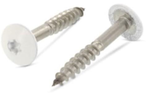 Holzschrauben 4,8X38 20 Stück Edelstahl A2 / V2A - Trespo Flachrundkopf-Holzbauschrauben mit Innensechsrund - rostfrei - Pulverbeschichtet RAL 9010 Reinweiß