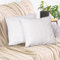2er Set Sofakissen mit Füllung und Bezug 40x40cm weiche Kissenhülle mit Dekokissen Couchkissen für Sofa, Schlafzimmer, Wohnzimmer, Balkon, weiß Purity, flauschig, mit verstecktem Reißverschluss