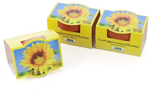 Bull & Bear 3er Set Mini-Pflanzset Zwergsonnenblumen, 3x Blumensamen im Topf 4,5cm, Mini Sonnenblumen als Anzuchtset mit Pflegeanleitung