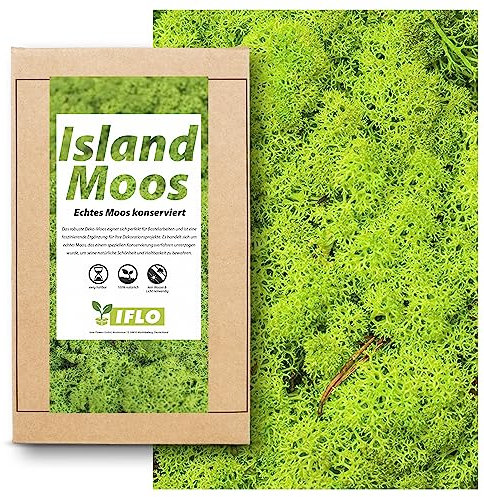 IFLO Island Moos 100g – Echtes konserviertes Moos, hellgrün (Frühling) – Naturdeko für Terrarium, Moosbild, Mooswand, Osterdeko & DIY Sets