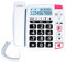 swissvoice