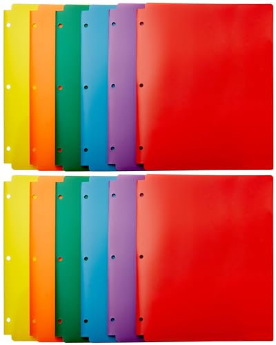 Amazon Basics Dokumentenablage, 8.5 x 11, 12 stück, 1er-Pack, Mehrfarbig