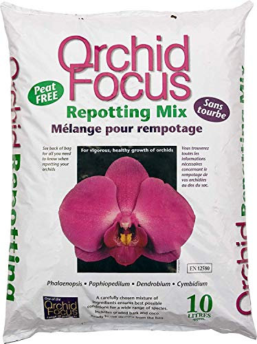 3 X Orchid Focus Repotting Mix 3 Litre