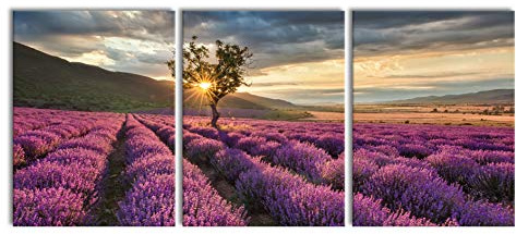 Pixxprint Lavendel Provence mit Baum als XXL Leinwandbild in Übergröße 180x80cm Gesamtmaß 3 teilig, Wandbild, Kunstdruck