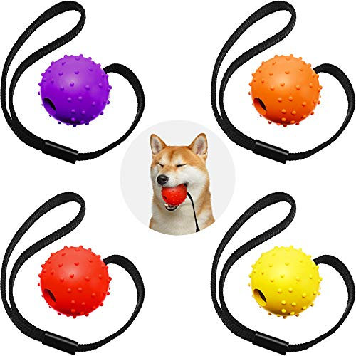 Interaktiver Hunde Training Ball auf Seil - Belohnung Übung Spielzeug für Kleine, Mittel Große Hunde - Holen, Fangen, Werfen und Ziehen