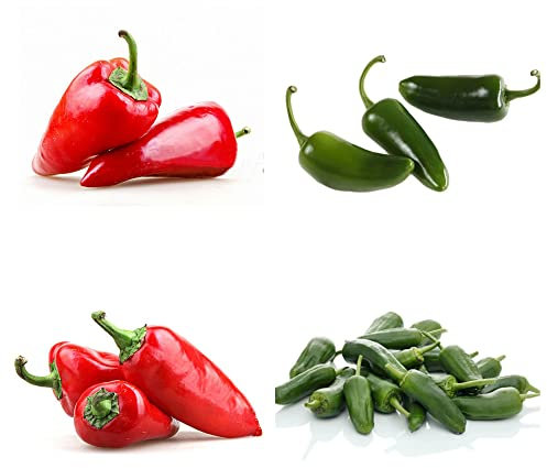 Chilli Samen Mix WintergemüSe KüChenkräUter GemüSesamen HeilkräUter Samen Jalapeno Balkonpflanzen Chili Pflanzen Bonsai Bio Saatgut Balkon GemüSe Bodendecker Alte GemüSesorten 20 Chili Samen