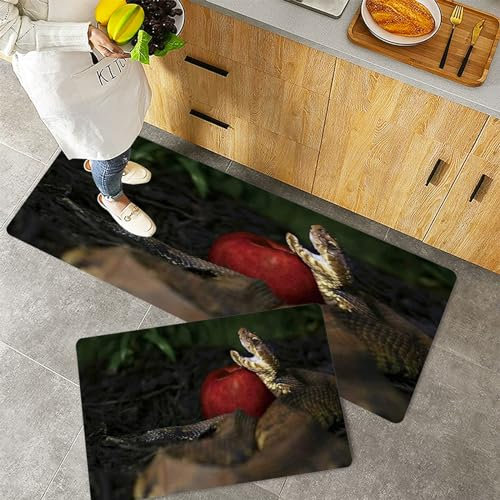 QRFASFZO Küchenteppiche 2 Stück, Rutschfestes Küchenmatten,Garten Eden Der Teufel spricht,Pflegeleicht, Anti-Müdigkeit Küchenteppich Teppich Läufer für Küche (45x70+45x120cm)