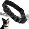 Upgraded AirTag Hundehalsband, IP68 Wasserdicht AirTag Hundehalsband Halter, Reflektierend, Ultra-Durable, Komfortabel Gepolstert, Heavy Duty Hundehalsbänder für Kleine Mittlere Große Hunde[Schwarz,L]