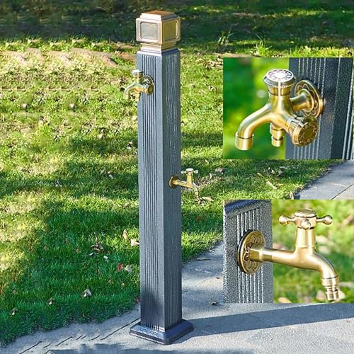 Robinet d'extérieur, support de tuyau autonome, robinet d'eau, colonne d'eau verticale pour jardin, robinet antigel, robinet d'eau pour montage au sol (taille : avec robinet à 2 trous