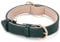 WHIPPY Leather Dog Collar for Small Medium Large Dog Soft Breathable Adjustable Leather Padded Puppy Collar Heavy Duty Waterproof Dog Pet Collar Metal Buckle, Green 18.90 Inches