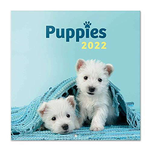 Grupo Erik Simon K. & Greg C. Hund Kalender 2022 Wandkalender 2022 Groß für 16 Monate, CP22038, Blau