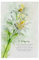 artboxONE Metall-Poster 20x30 cm Natur Edelweiss von Künstler Theo