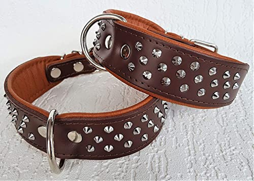 Leder Halsband - Hundehalsband, Nieten, Halsumfang 32-41cm; 38-46cm; 43-51cm; 51-61cm BRAUN-Cognac, NEU (Halsumfang 43-51cm/55cm)