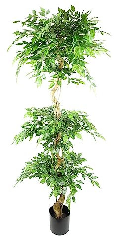 Leaf Realistischer künstlicher japanischer Ficus-Baum, 180 cm, dreifache Kugel, Fruticosa
