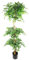 Leaf Árbol de ficus japonés Artificial Realista, 180 cm, Triple Bola fruticosa