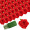 FagusHome 30 Stück Seiden-Rosenköpfe künstliche Blumen Köpfe und Stiele künstliche Rosen Blumen für Zuhause Hochzeit Dekor (rot)