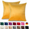 Emilie-Textil 2er Set SAMT Kissenbezug, Decorative Kissenhülle, Sofakissenbezug mit Verstecktem Reißverschluss, 14, Größen 40X40 / 45X45 / 50X50cm (2, Gelb, 50X50)