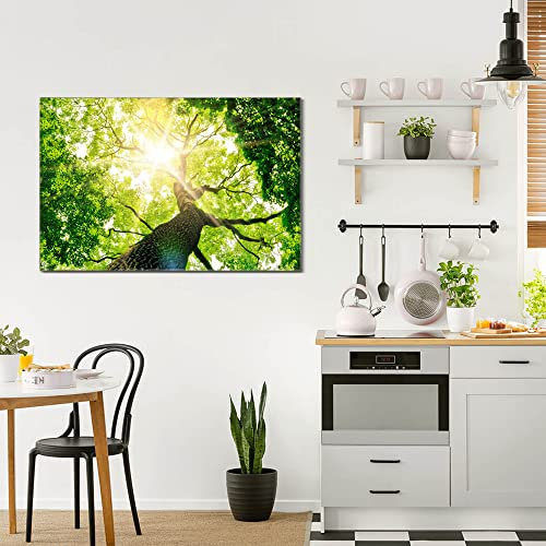 banjado® Glas Bild 120x80cm mit Motiv Baumkrone als Wandbild für Wohnzimmer/Küche/Büro - Wohnzimmer Bild aus ESG Sicherheitsglas kratzfest mit geschliffenen Kanten - Glasbild groß als Wand Bild