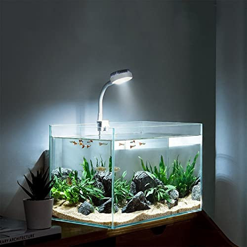 BigTron Full Spectrum Aquarium Light, Small Clip Light for Fish Tank with 2 Blue 10 White LED, 5W Brightness, for 3-5mm Thick (White)