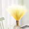 GEFIRE 30 Stück Künstliche Pampasgras Farbverlauf Gelb Pampas Grass Deko Trockenblumenstrauß, 55cm Pampasgras Getrocknet für Blumen Arrangements Heim Decor,Pampasgras Flauschige Wedel