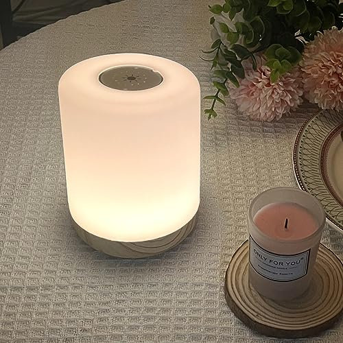 DJLLA Nachtlicht für Kinder Touch Dimmbar,Weihnachten Geschenk LED Tischlampe,13 Farben RGB Farbwechsel und 3 Modi, USB Aufladbar mit Fernbedienung,Tragbare Kinder Stimmungslicht Schlafzimmer