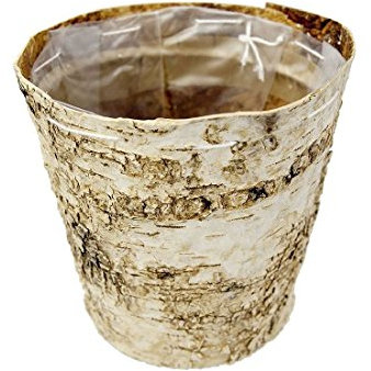 Birkentopf Natur I 6 Stück I Ø 9x8 cm I mit Folie I Übertopf Birke