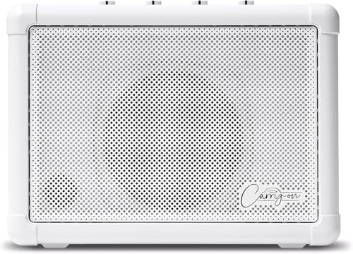 Mini Speaker - Amplifier for Electronic Guitars and Drums, Keyboards, Digital Wind Instruments and Microphones - Portable Speaker with Dual Input Channels & Expandable Stereo Option