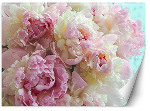 Feeby Fototapete Pfingstrose Blumen Die Natur 250x175 cm Rosa XXL Vlies Wandtapete Tapeten Wohnzimmer Schlafzimmer Jugendzimmer Moderne Design Wandbild Wand Dekoration Blütenblätter Pflanzen