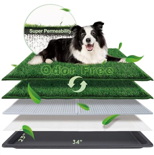 HQ4US 4LEGS Hundegrasunterlage mit Tablett, groß, 86,4 x 58,9 cm, Hundestreubox mit geruchsfreiem Kunstrasen, Urinierpads für Hunde, Töpfchentablett mit gesäumtem Rand, realistisch für den Innen- und