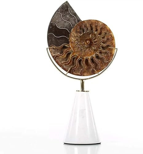 GRAWIT Nautilus-Muschel-Ornament-Figur, abstrakte Skulptur, kegelförmig, Marmorsockel, Postmoderne, Villa, Heimdekoration, Accessoires Made in China