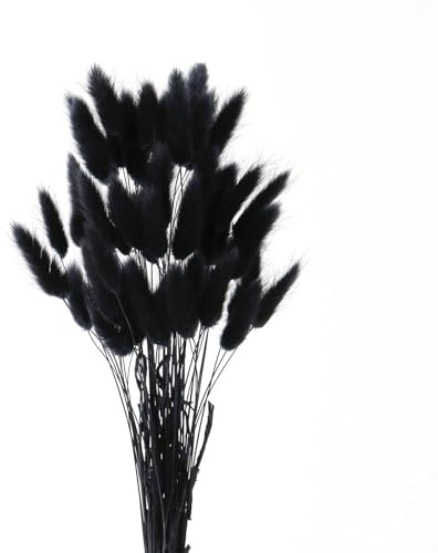 IOPJLK 50 Stücke Pampasgras Schwarz, Natürliches Getrocknetes Trockengras, Boho Deko für Wohnzimmer, Trockenblumenstrauß für Vase Bodenvasen, 25-40cm DIY Länge