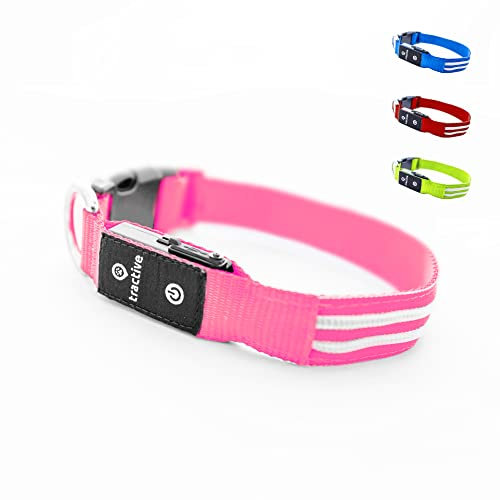 Tractive LED-Leuchthalsband für Hunde. Per USB aufladbar. Wasserdicht (Pink, S)
