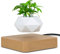 ERHGGFDSD Air Bonsai Topf Rotation Blumentopf Pflanzgefäße schwimmenden Topf Topfpflanze Home Schreibtisch Dekor