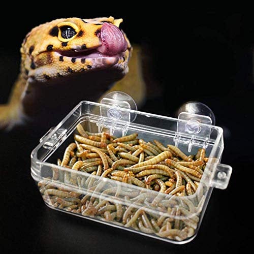 Reptile Feeder Dish Amphibians Food Water Bowl Anti-escape Worm Feeding Basin with Suction Cup for Tortoise Gecko Snakes Lizard Spider