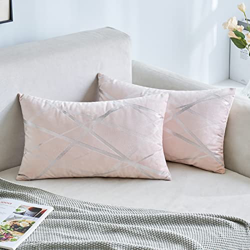 MIULEE 2er Set Samt Kissenbezug Silver Kissenbezüge Dekokissen Dekorativ Sofakissen Kissenhülle Zierkissenbezug Zierkissen Bezug Überzug Deko Kissen Bezüge Couchkissen Sofa Rosa 30x50 cm