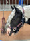 Equipride Geflochtenes Halfter Führstrick Set Größe Full-Shetland Flame (Pony)