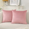 Ystyle Federe Cuscini Divano 45x45 - Copricuscino Divano 2 Pezzi in Velluto con Cerniera Invisibile Morbidi e Lavabili, Copricuscini per Salotto e Camera Soggiorno Letto - Rosa