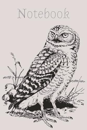 Owl Notebook: Owl Themed Notebook – Perfect for Journaling, Creative Writing & Daily Notes