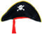 Zac's Alter Ego Fancy Dress Pirate Hat